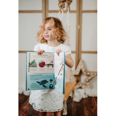 What, How, Why. The Sea