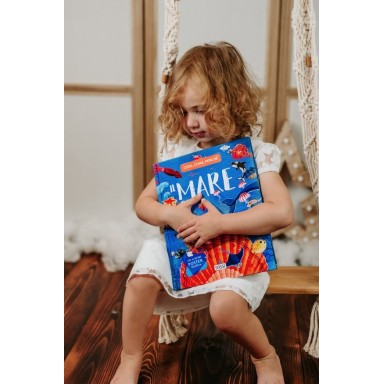 What, How, Why. The Sea