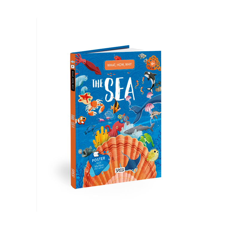What, How, Why. The Sea