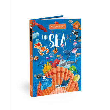 What, How, Why. The Sea