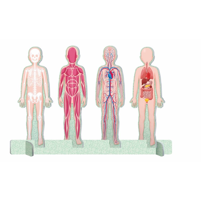 The Ultimate Atlas. Human Body