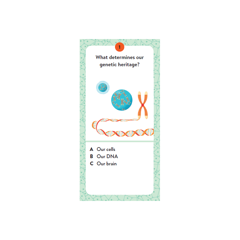 The Ultimate Atlas. Human Body