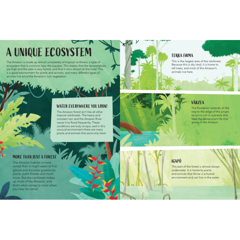 Save the Planet. The Amazon