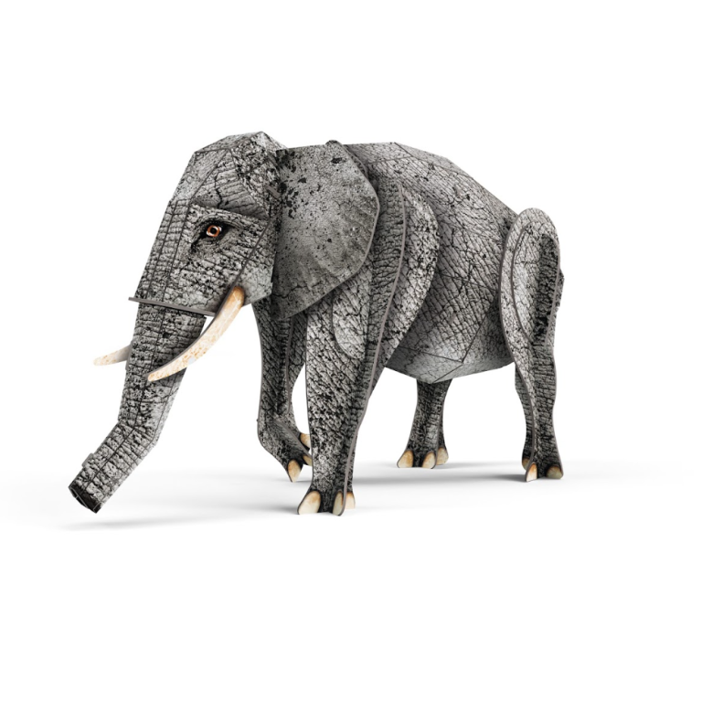 The 3D Elephant. The Jungle: Amazing Biodiversity