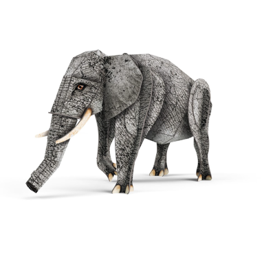 The 3D Elephant. The Jungle: Amazing Biodiversity