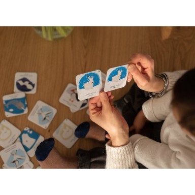 Memo. Animals to Save. Polar Ice