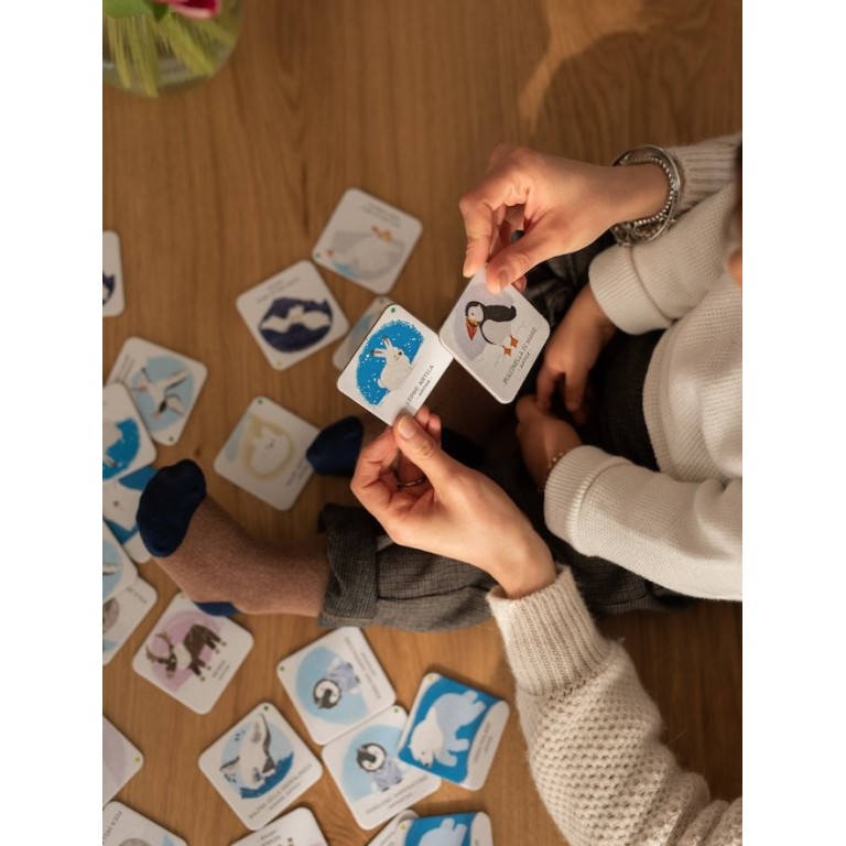 Memo. Animals to Save. Polar Ice