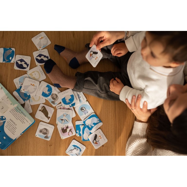 Memo. Animals to Save. Polar Ice