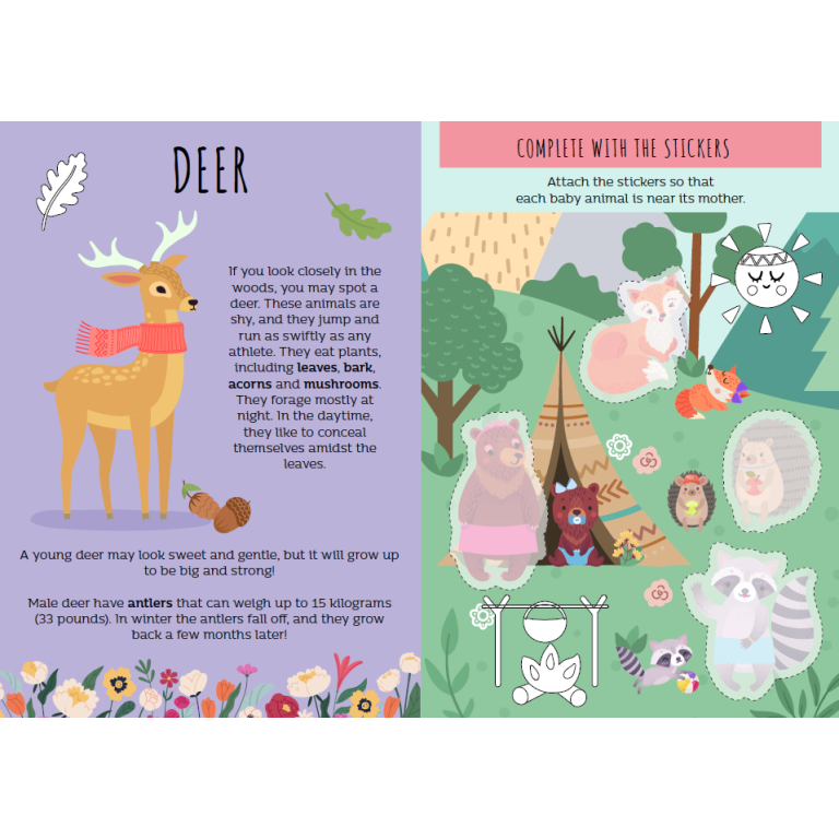 Card Games. Happy Families. The Forest