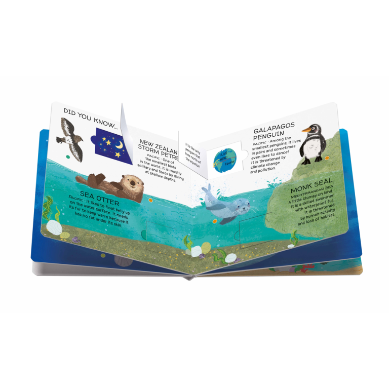 Memo. Animals to Save. Seas and Oceans