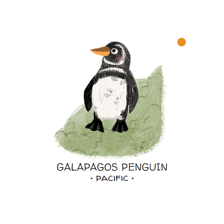 Memo. Animals to Save. Seas and Oceans