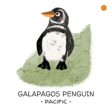 Memo. Animals to Save. Seas and Oceans