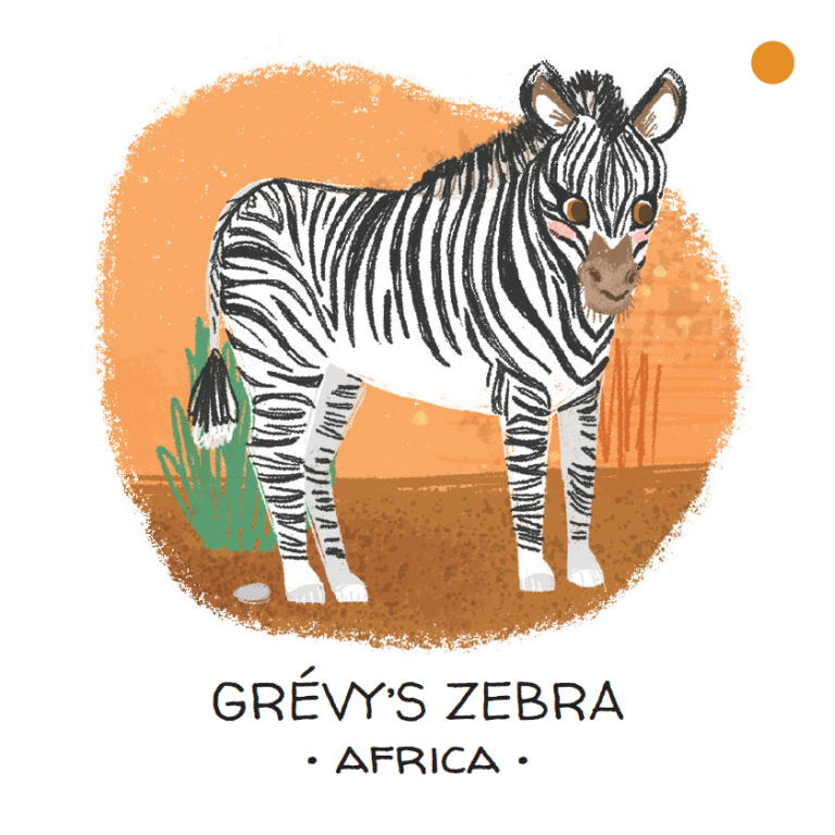 Memo. Animals to Save. Deserts and Savannahs