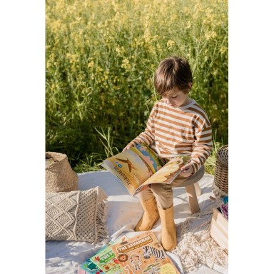 Stickers and Activities. The Forest