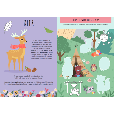 Stickers and Activities. The Forest