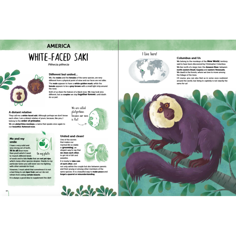 Atlas of Biodiversity. Curious and Unusual Animals