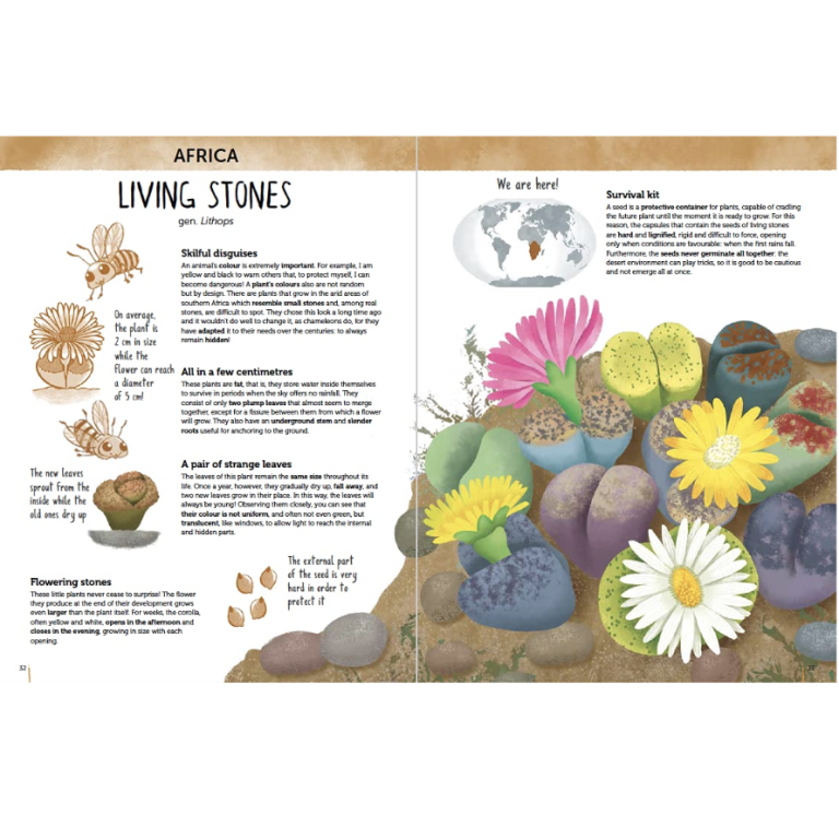 Atlas of Biodiversity. Flora of the World