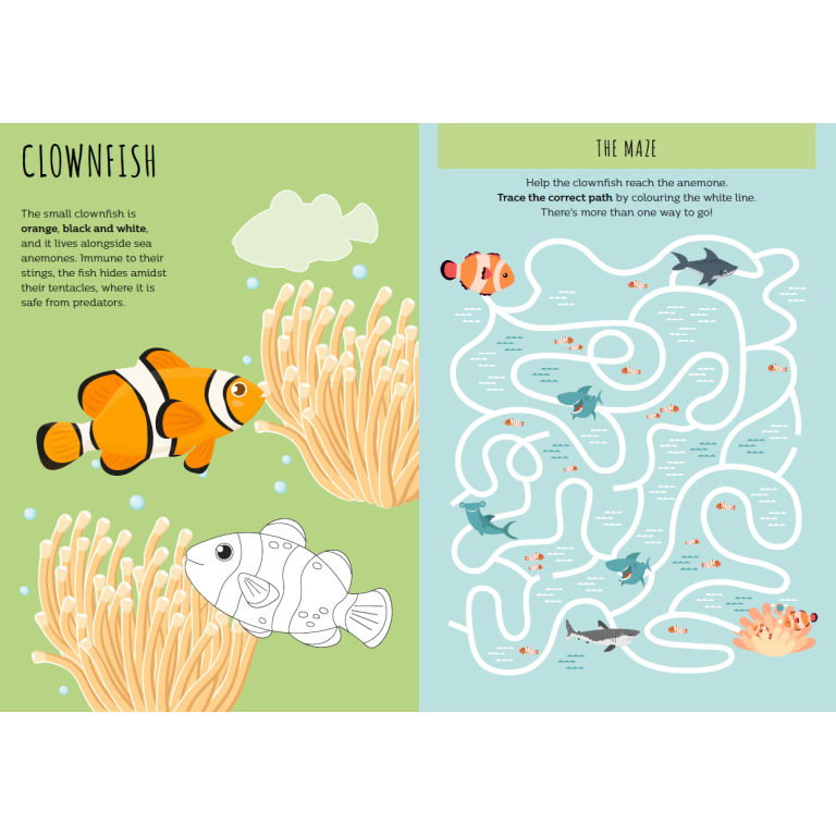 Stickers and Activities. The Sea