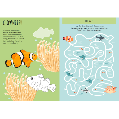 Stickers and Activities. The Sea