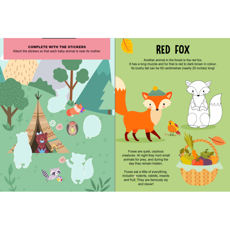 Mega box arts & crafts. Magic Forest