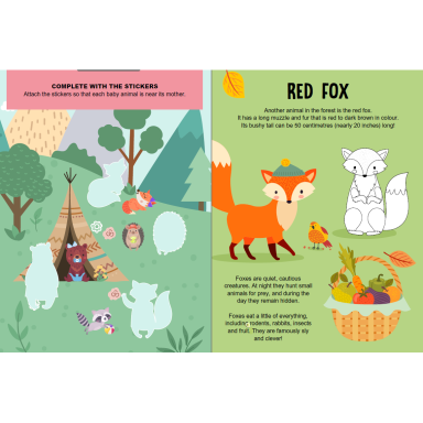 Mega box arts & crafts. Magic Forest