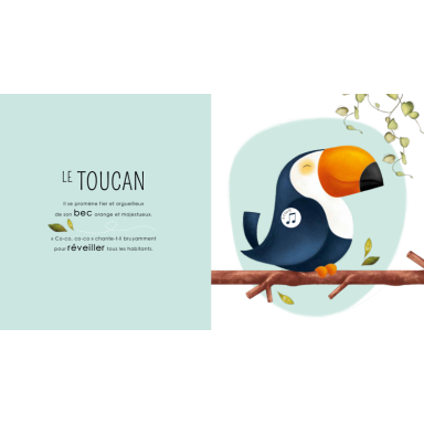 Who Lives in the Jungle?