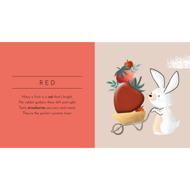 Touch and Feel. Colours - Pocket Edition