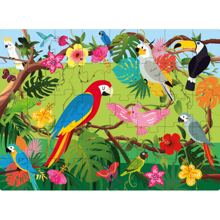 Q-Box. World of Birds