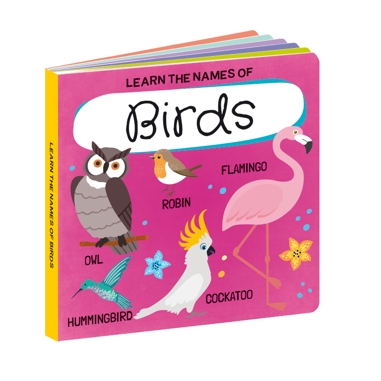 Q-Box. World of Birds