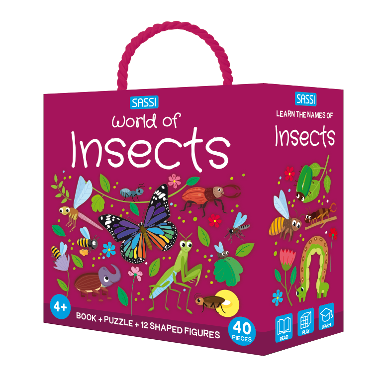 Q-Box. World of Insects