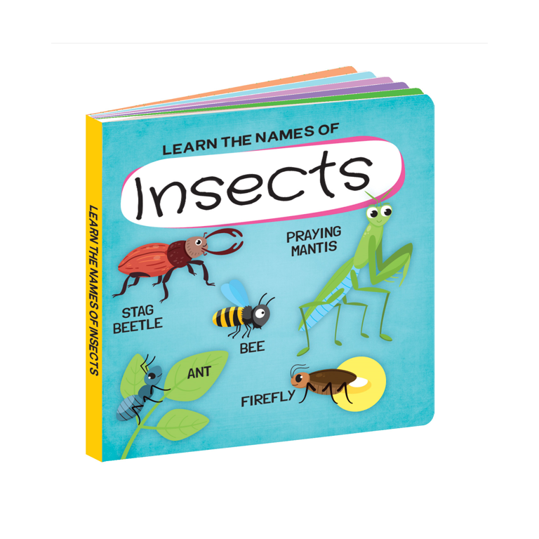 Q-Box. World of Insects