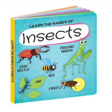 Q-Box. World of Insects