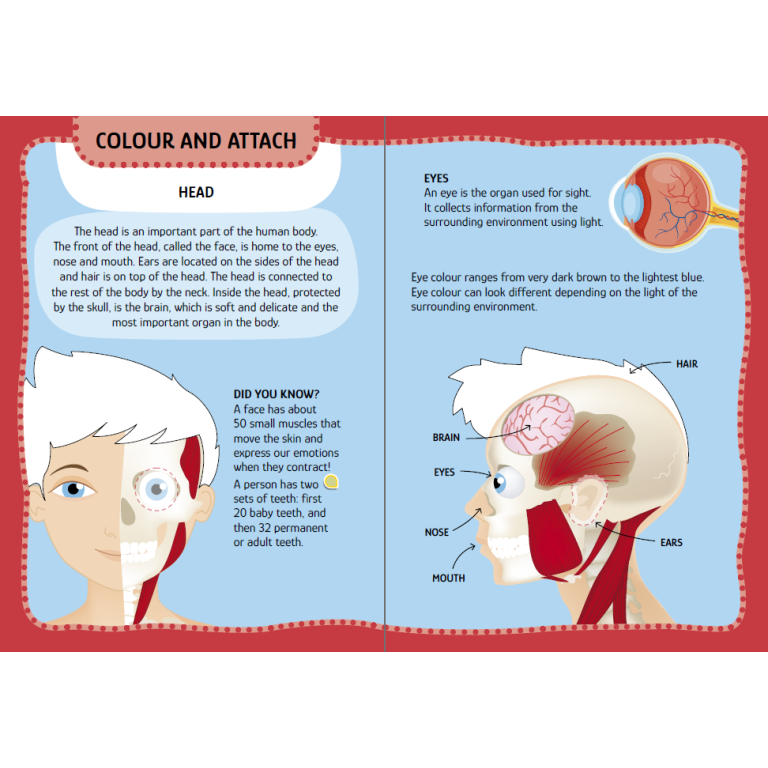 My First Activities Arts & Crafts. The Human Body