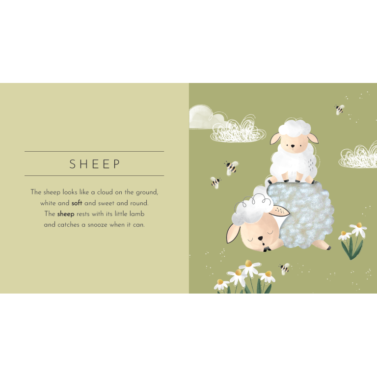 Touch and Feel. Animals - Pocket Edition