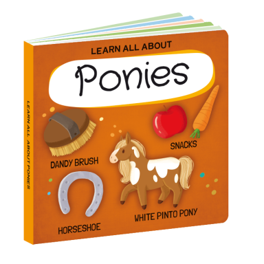 Q-box. World of Ponies