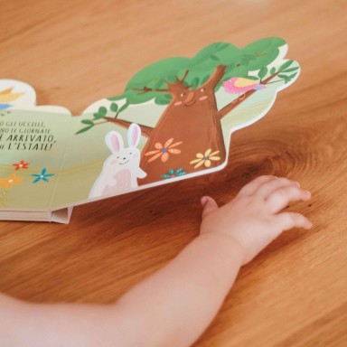 Shaped books. The seasons (Outlet)