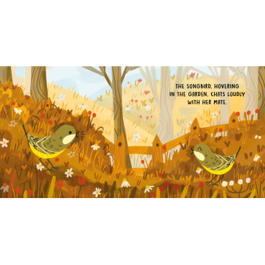 Sweet Sounds Stories. Birds