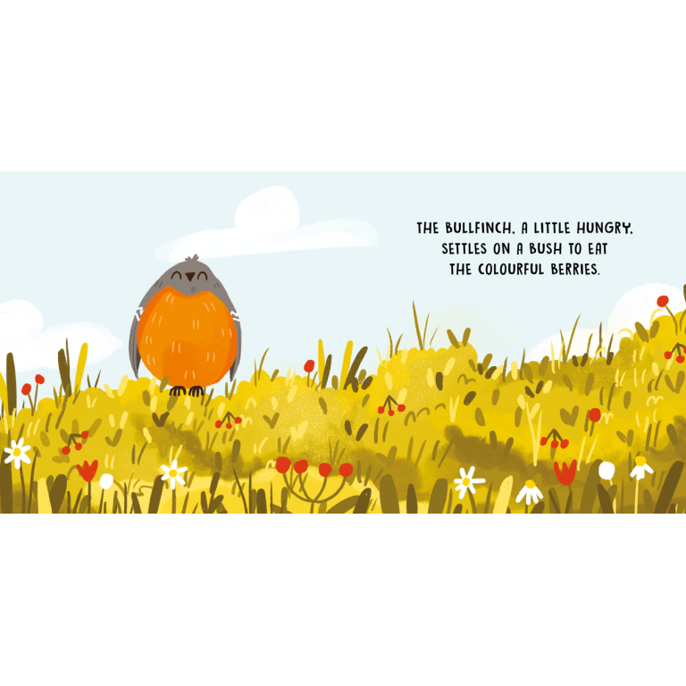 Sweet Sounds Stories. Birds