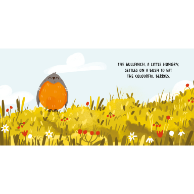 Sweet Sounds Stories. Birds