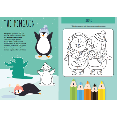 Activity books. World of Ice