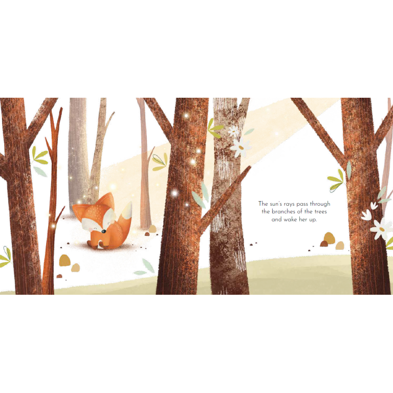 Board Books. Crunchy's Cleverness