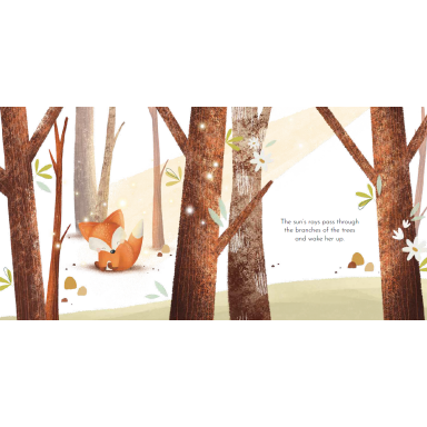 Board Books. Crunchy's Cleverness