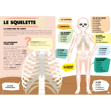 Voyage, découvre, explore. Le corps humain