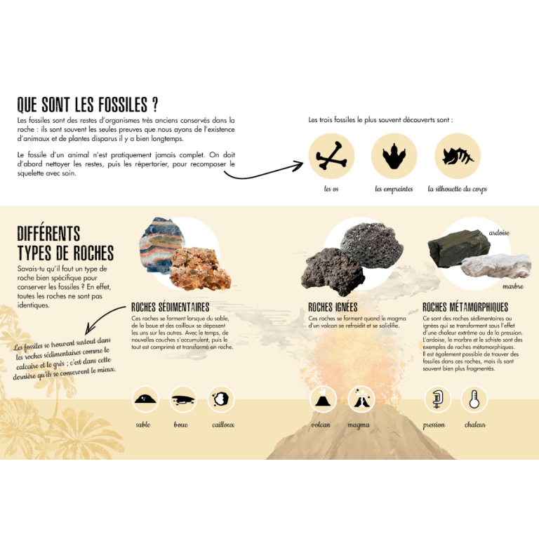 Le tricératops 3D. L'ère des dinosaures