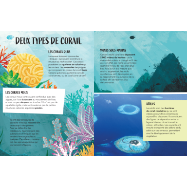 La Planète en danger. Le Récif Corallien