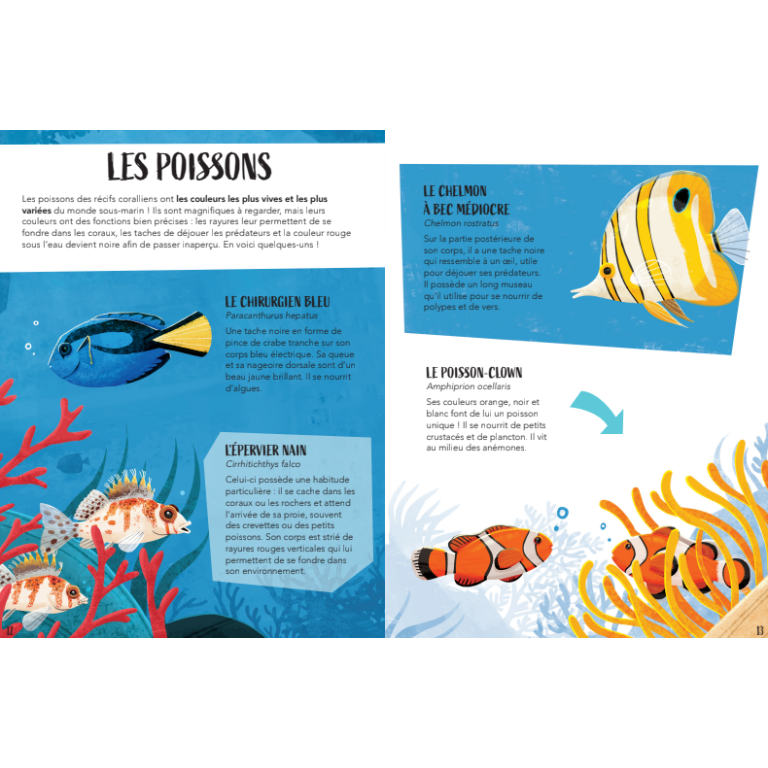 La Planète en danger. Le Récif Corallien