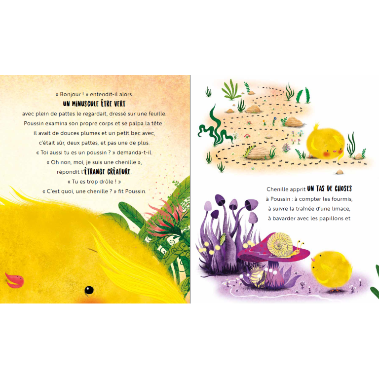 Un bonheur de poussin