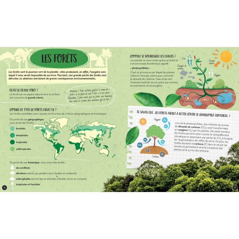 Quoi, comment, pourquoi. La Terre