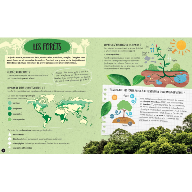 Quoi, comment, pourquoi. La Terre