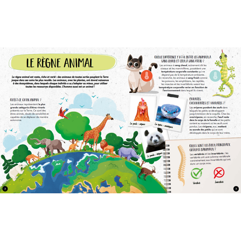 Quoi, Comment, Pourquoi. Les Animaux